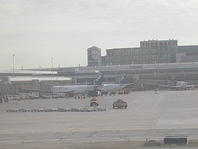 DSCN9555.jpg