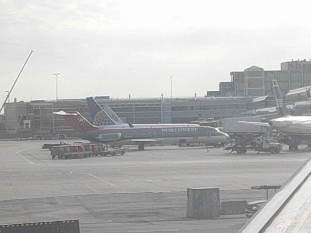 DSCN9556.jpg