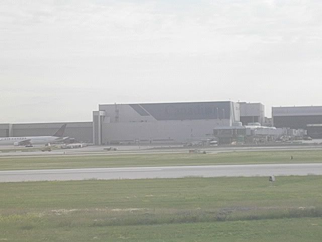 DSCN9559.jpg