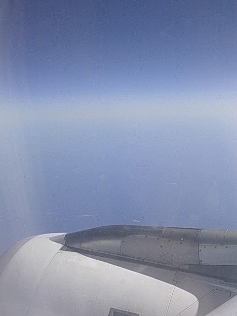 DSCN9581.jpg