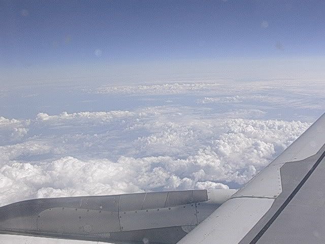 DSCN9587.jpg
