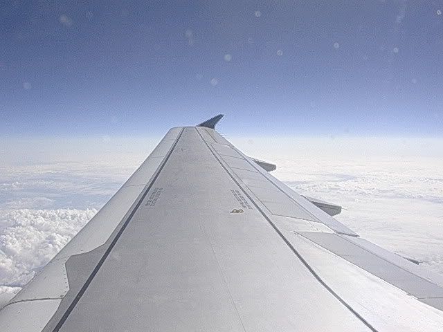 DSCN9588.jpg