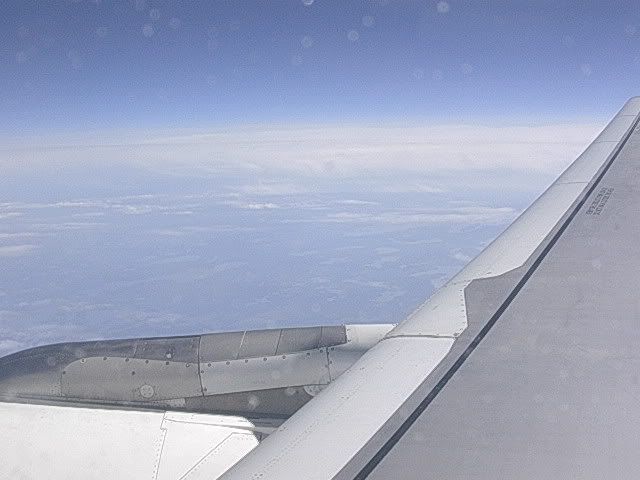 DSCN9595.jpg