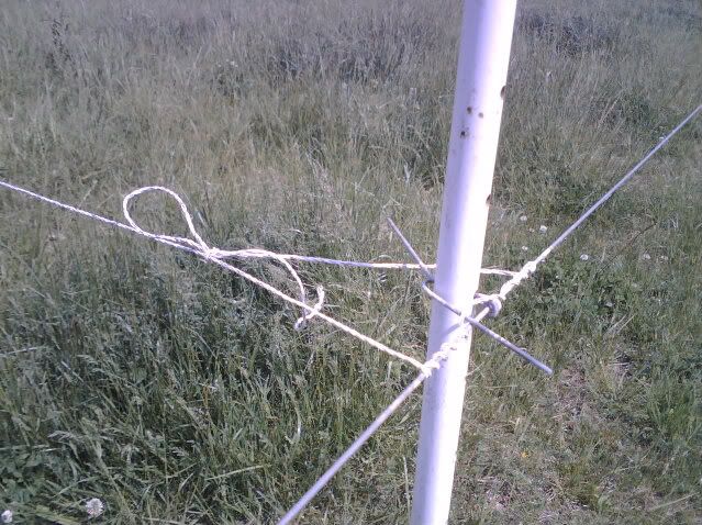 any ideas for converting to rotational grazing? - Cattle