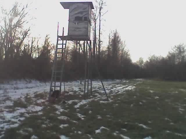 new elevated hunting stand - The Great Outdoors