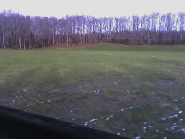 new elevated hunting stand - The Great Outdoors