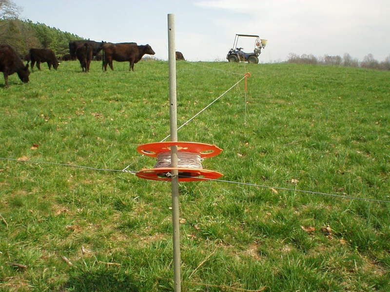 high tensile electric fencing - Cattle
