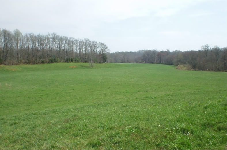 Establishing small pasture - help please!! - Homesteading Questions