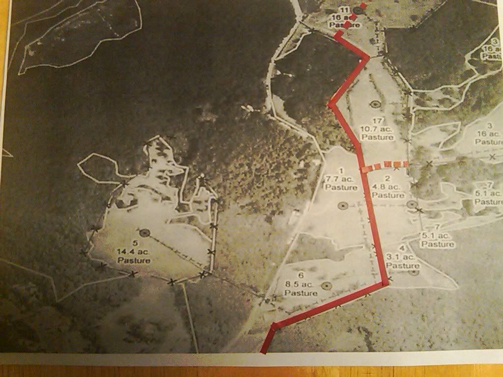 any ideas for converting to rotational grazing? - Cattle