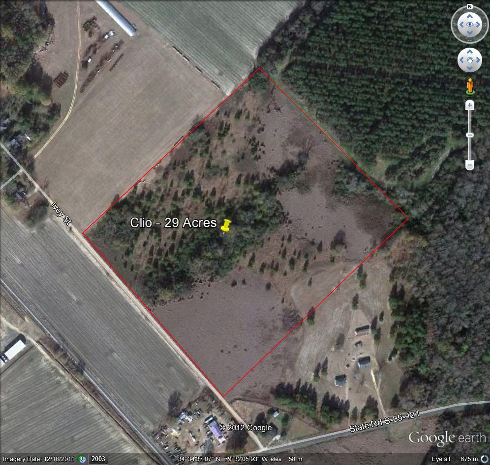 Poor land? What does it take to fix it? - Homesteading Questions