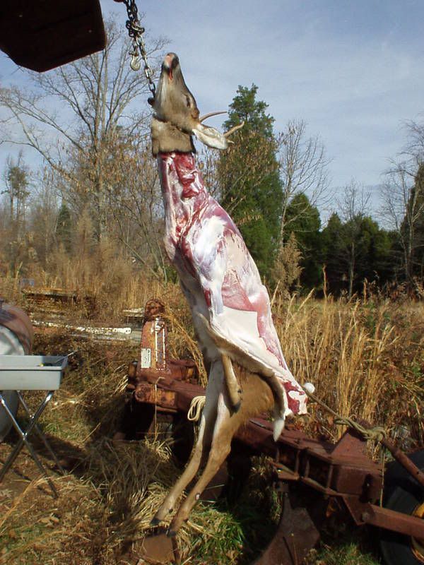 recycling wizzes? - Homesteading Questions