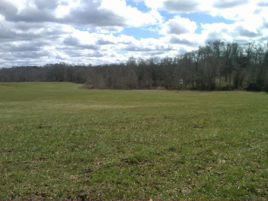 any ideas for converting to rotational grazing? - Cattle