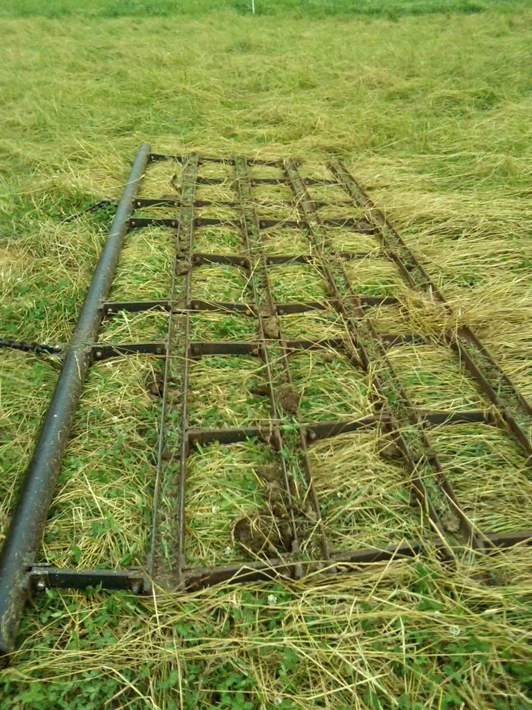 any ideas for converting to rotational grazing? - Cattle