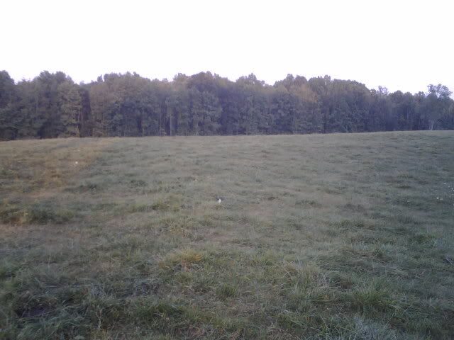 any ideas for converting to rotational grazing? - Cattle