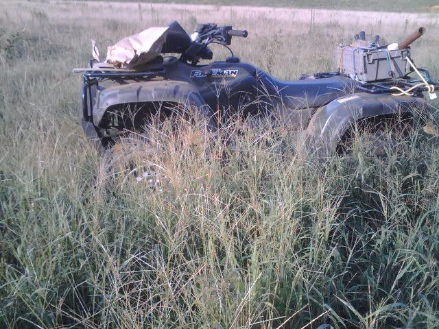 any ideas for converting to rotational grazing? - Cattle