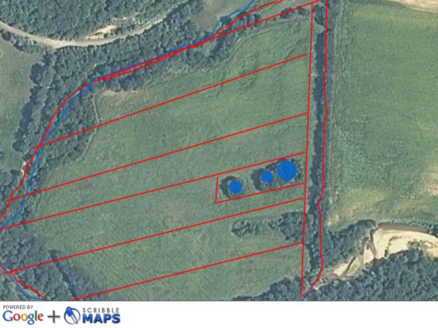 any ideas for converting to rotational grazing? - Cattle