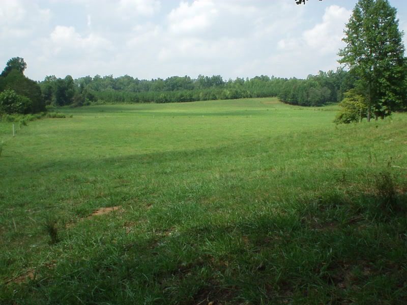 Pictures around your Homestead - Homesteading Questions