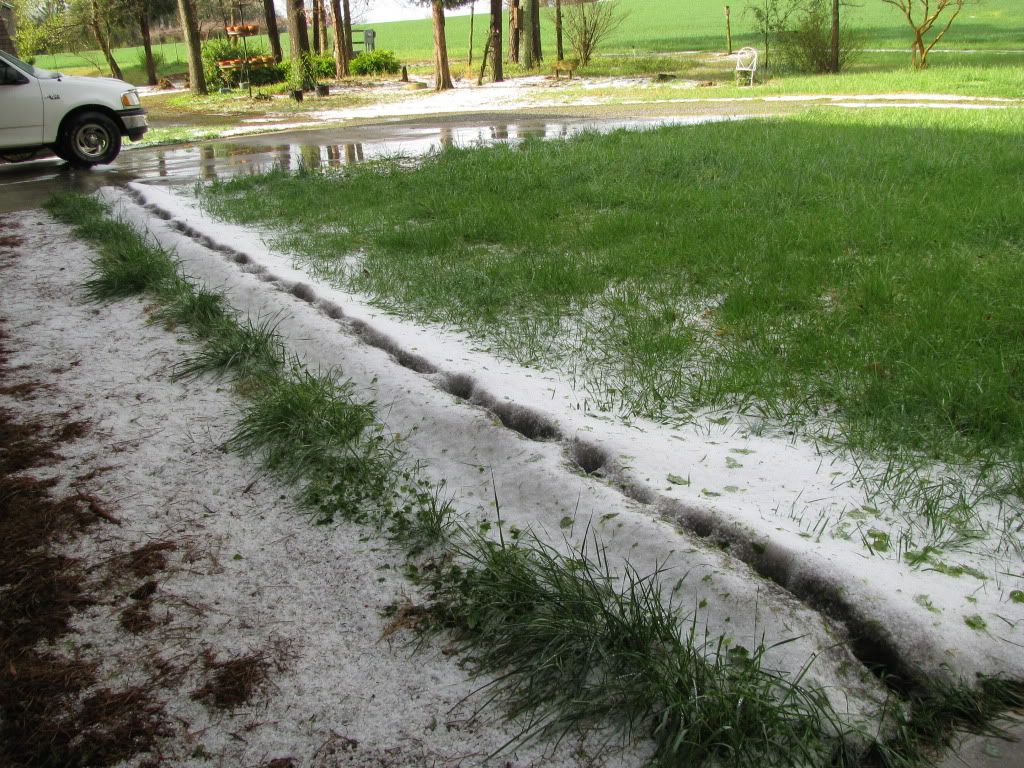 It is going to be cold tonight - Homesteading Questions