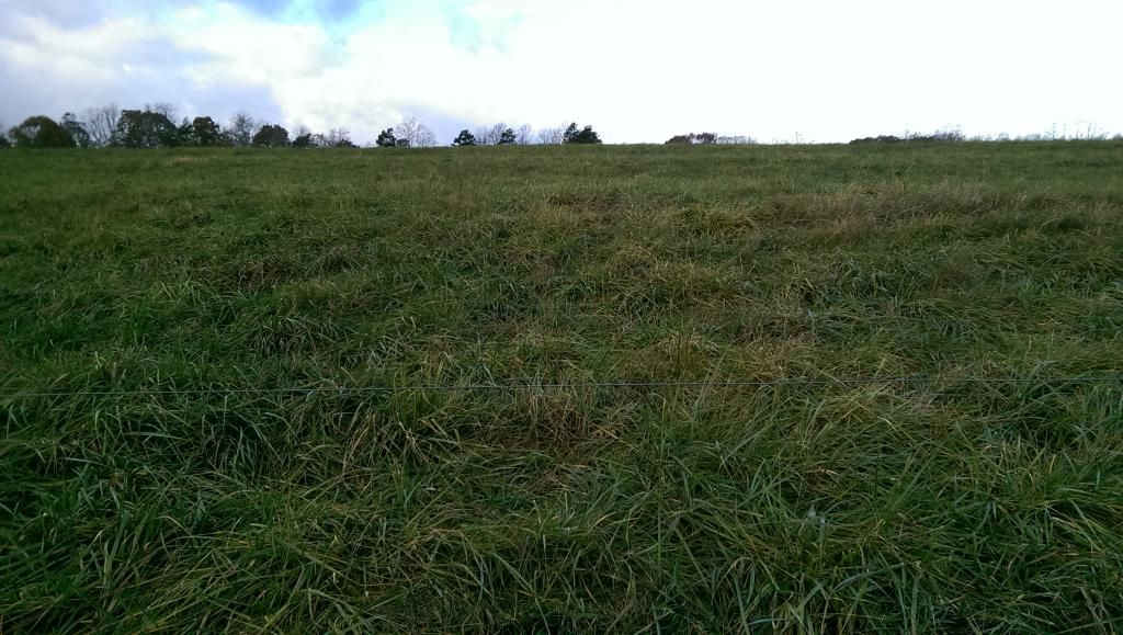 Yay!  Soil sample test is back ... annnnnnd ... - Homesteading Questions