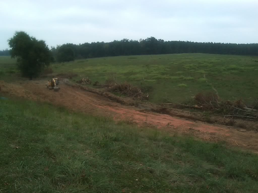 land clearing options - Homesteading Questions