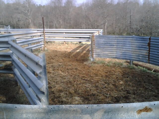 Livestock fencing - Cattle