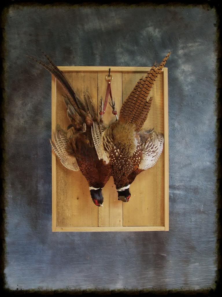 Looking for dead mount ideas Refuge Forums