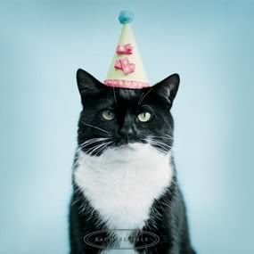 IMAGE(<a href="http://i73.photobucket.com/albums/i238/jehouse/birthday_cat.jpg" rel="nofollow">http://i73.photobucket.com/albums/i238/jehouse/birthday_cat.jpg</a>)