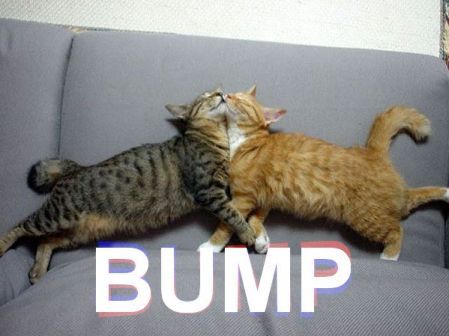 KittyBump