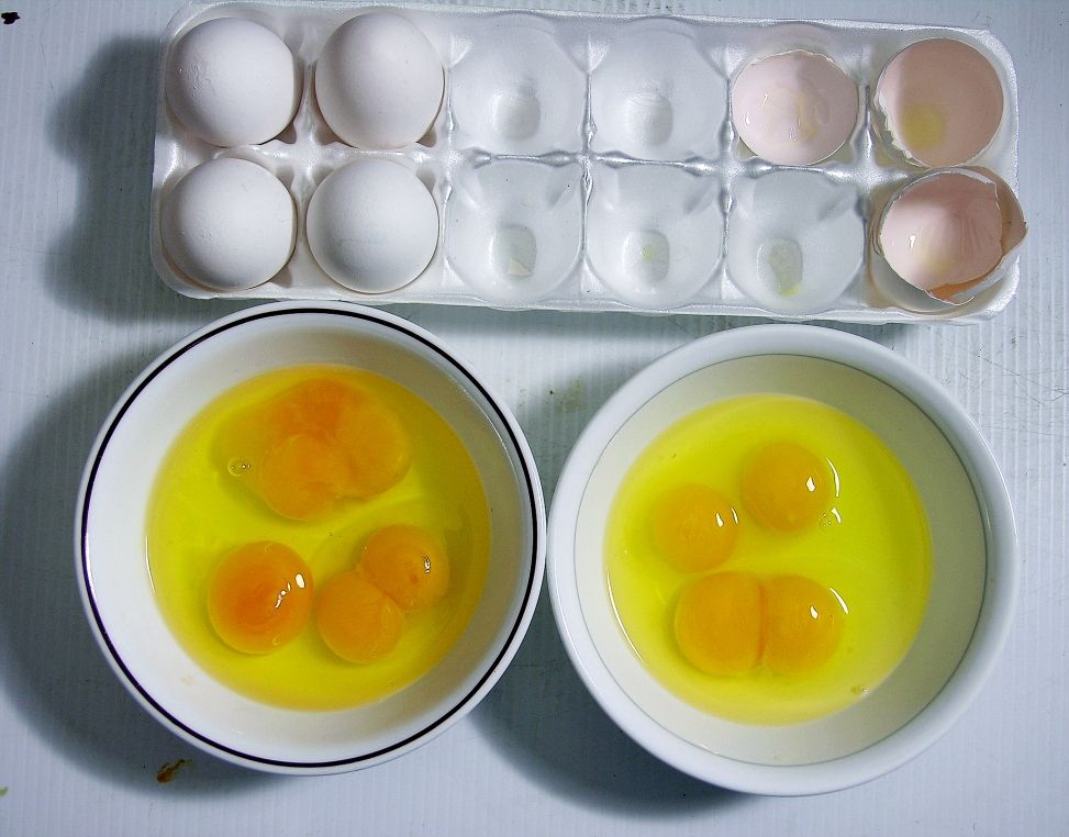 photo doubleyolk_zps594b364e.jpg