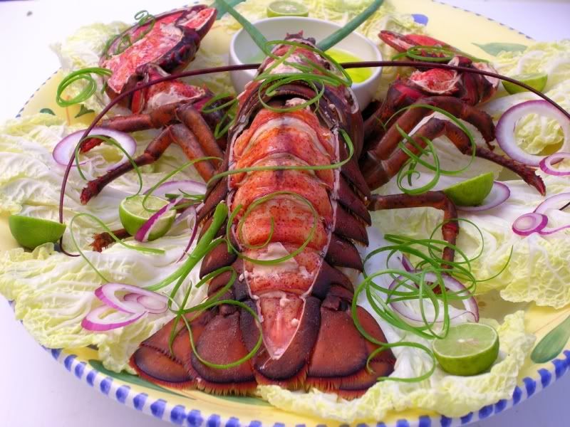 lobsterc2.jpg