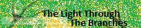 The Light Through The Branches [Under Construction] banner