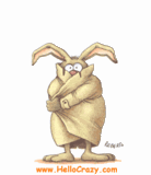 bunny.gif