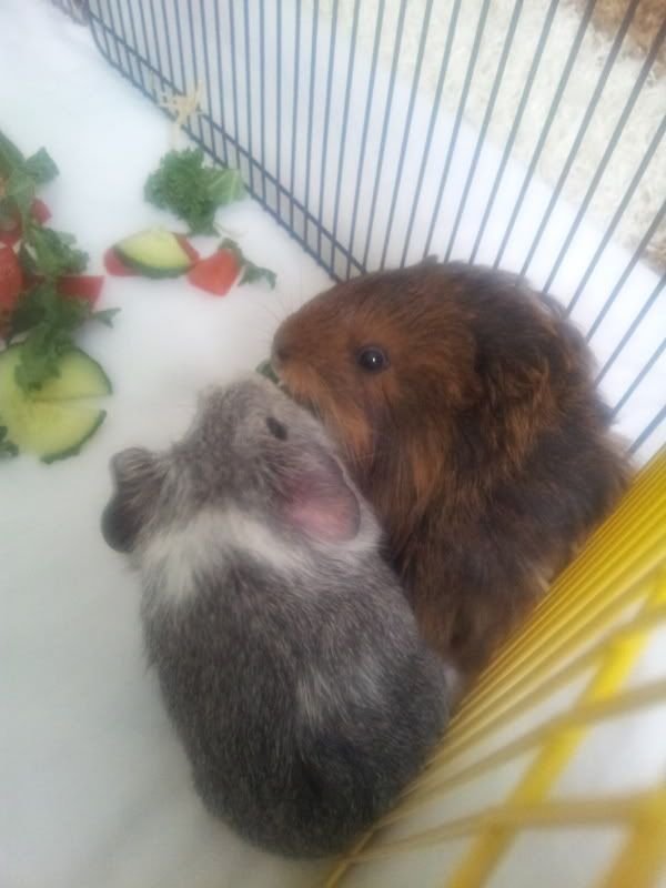20120507_150415.jpg