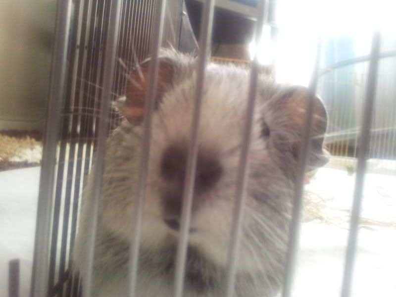 20120507_151337.jpg