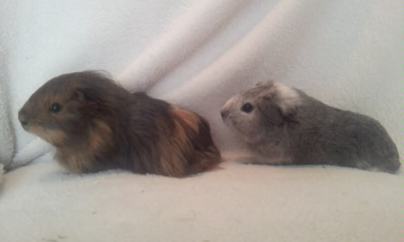 2012-06-0704-24-18-304.jpg