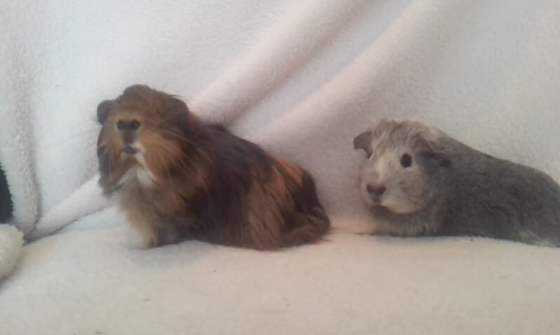 2012-06-0704-24-23-432.jpg