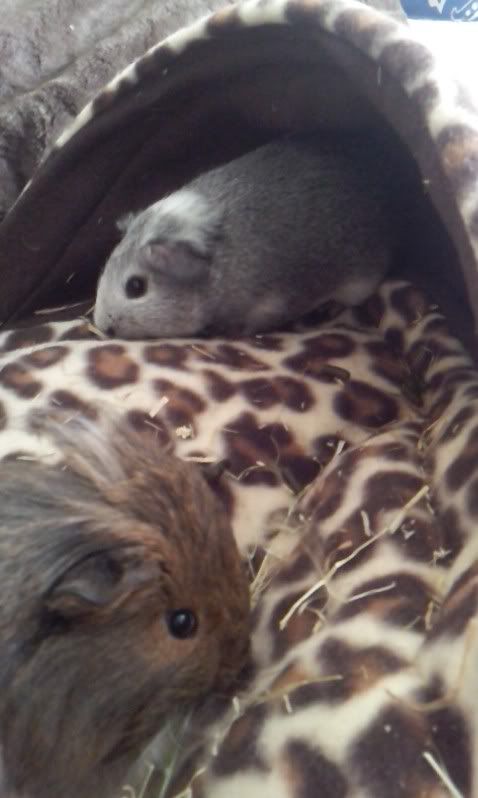 2012-06-1001-45-20-579.jpg