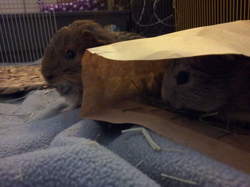 20120530_193555.jpg