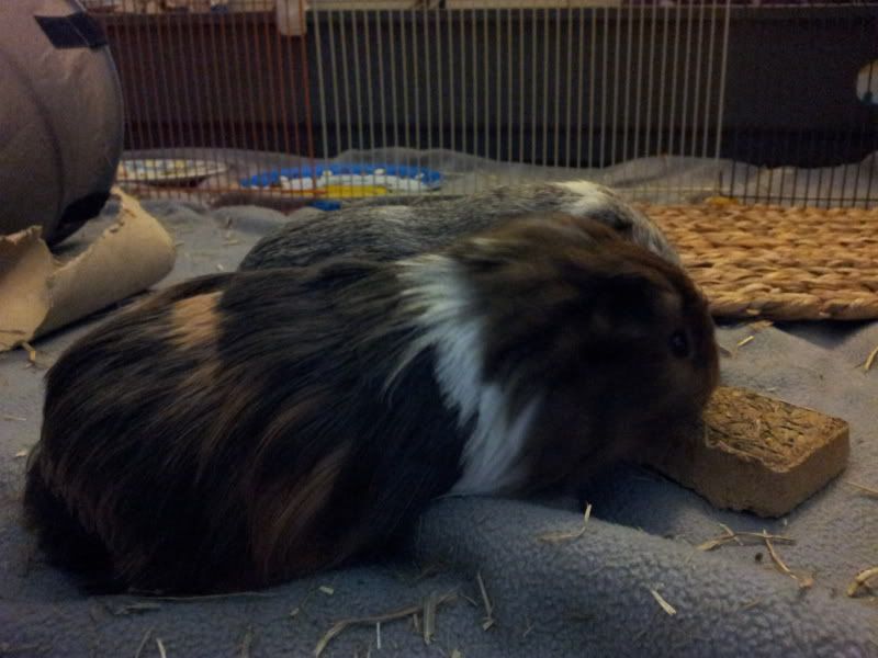 20120530_193933.jpg