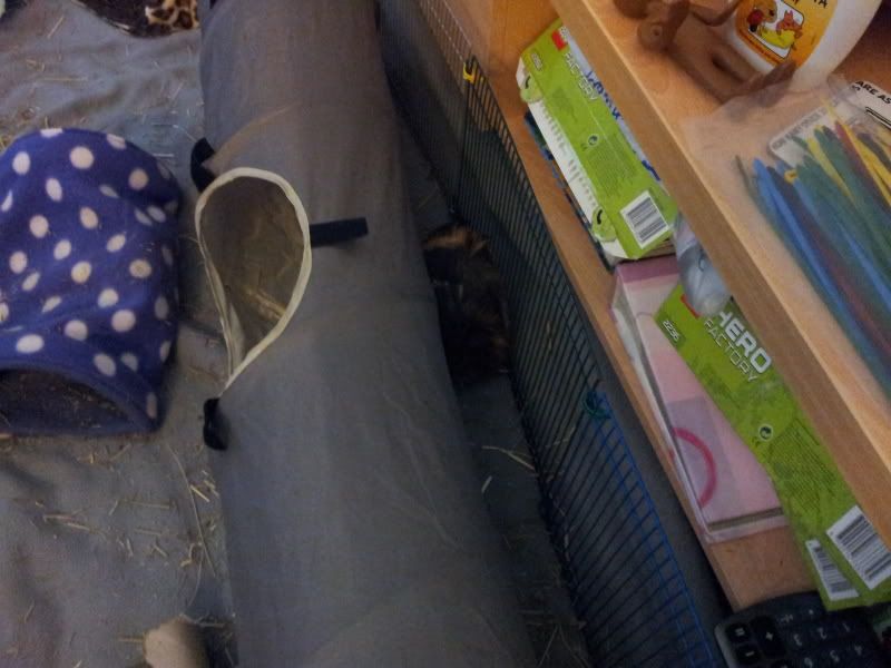 20120530_194206.jpg
