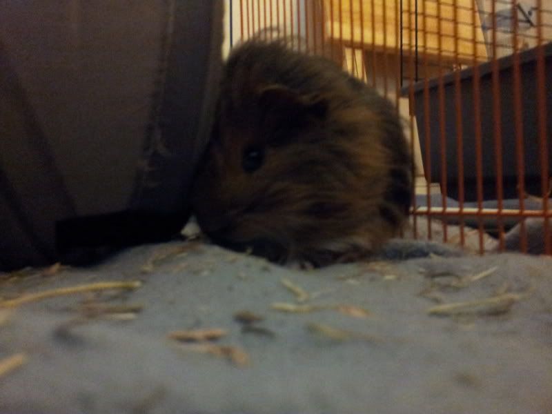 20120530_195006.jpg
