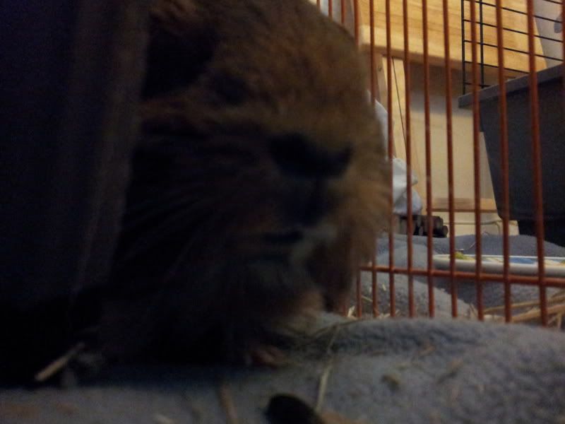 20120530_195030.jpg