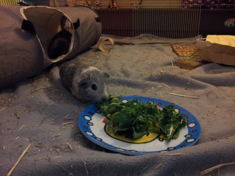 20120530_200846.jpg
