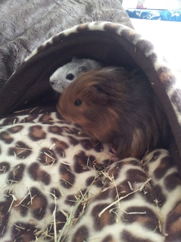 20120610_134432.jpg