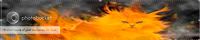 Burn Cats Alive banner