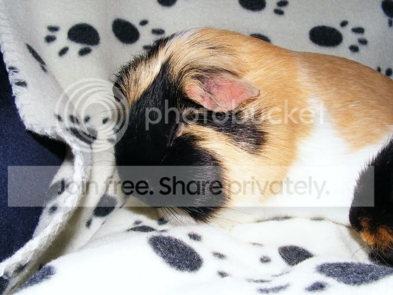 Eyesshut.jpg