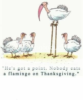 free funny thanksgiving clip art photo: Thanksgiving clip art picture FunnyThanksgiving.jpg
